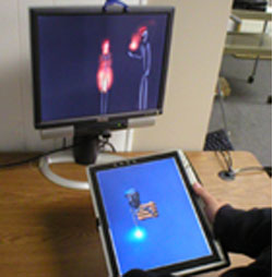 Virtual Raft project