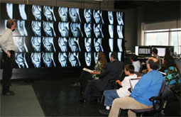 Viewing the HIPerWall