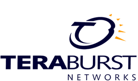 TeraBurst