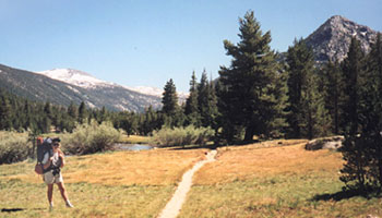 Tuolumne