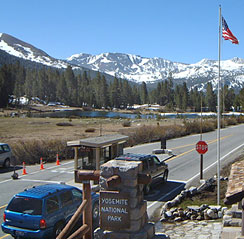 Tioga