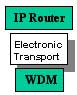 WDM