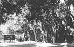 University Center