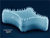 UCI Nanotechnology