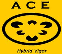 Hybrid Vigor