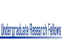 Undergraduate Research Fellows