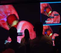 Collaborative Visualization Center