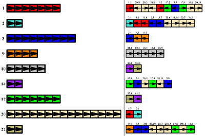 Cancer Genomics