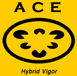 Hybrid Vigor
