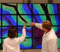 Tiled display