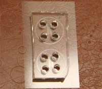 CNS Microfluidic Device