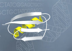 Institute for Genomics and Bioinfomatics