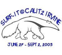SURF-IT