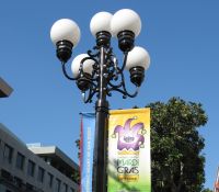 Mardi Gras Network