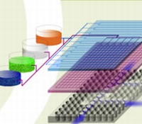 Optofluidics Workshop