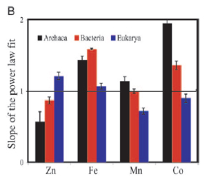 Trace Metal Geochemistry