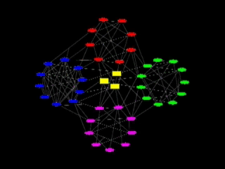 Network of Networks