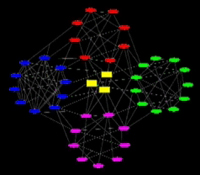 Network of networks