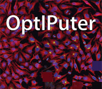 OptIPuter