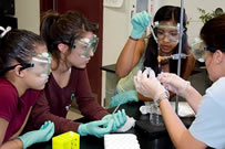 BioBridge Students