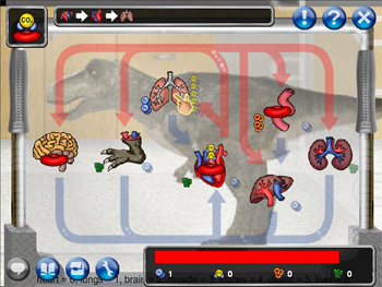 dinosaur digestive tract
