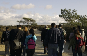 Torrey Pines State Park outing