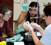 High school students in BioBridge program.