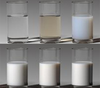 Milk and Light