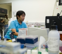 Summer Scholar Jun Young Park in lab