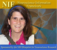 Maryann Martone to direct NIF at UC San Diego