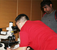 Examining micro devices under a microscope