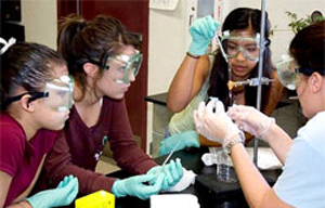BioBridge