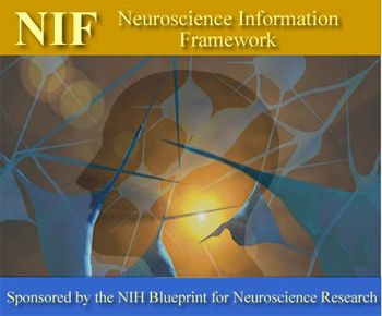 NIF 2.0