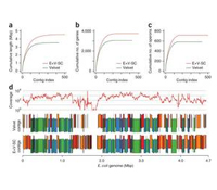 Comparison of contigs for single-cell E. coli