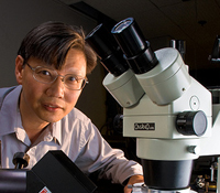 Paul Yu, William S.C. Chang Endowed Chair in ECE
