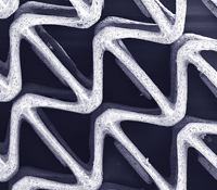 New biomaterial for repair of human tissue