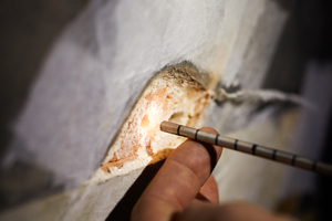 The endoscope and sampling tool used to investigate the air gap behind the Vasari mural in Florence's Palazzo Vecchio. 