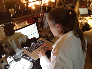 Samantha Stout, UCSD graduate student in materials science and engineering using light microscopy and x-ray fluorescence spectroscopy on the scaffold in the Salone dei Cinquecento.