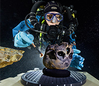 Diver Susan Bird working at the bottom of Hoyo Negro, a large dome-shaped underwater cave on Mexico