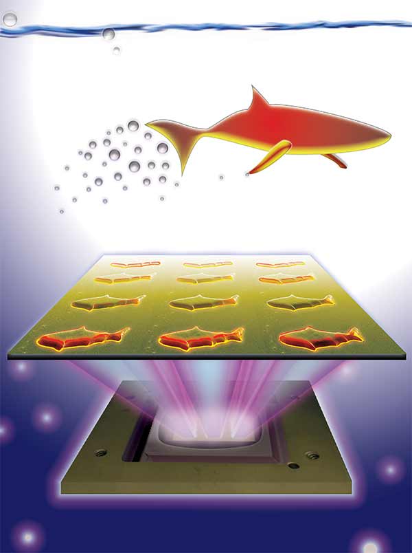 Microfish