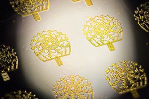 A sample of the sensors fabricated with the new method.