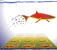 Microfish