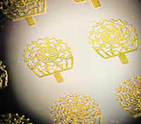 A sample of the sensors fabricated with the new method.
