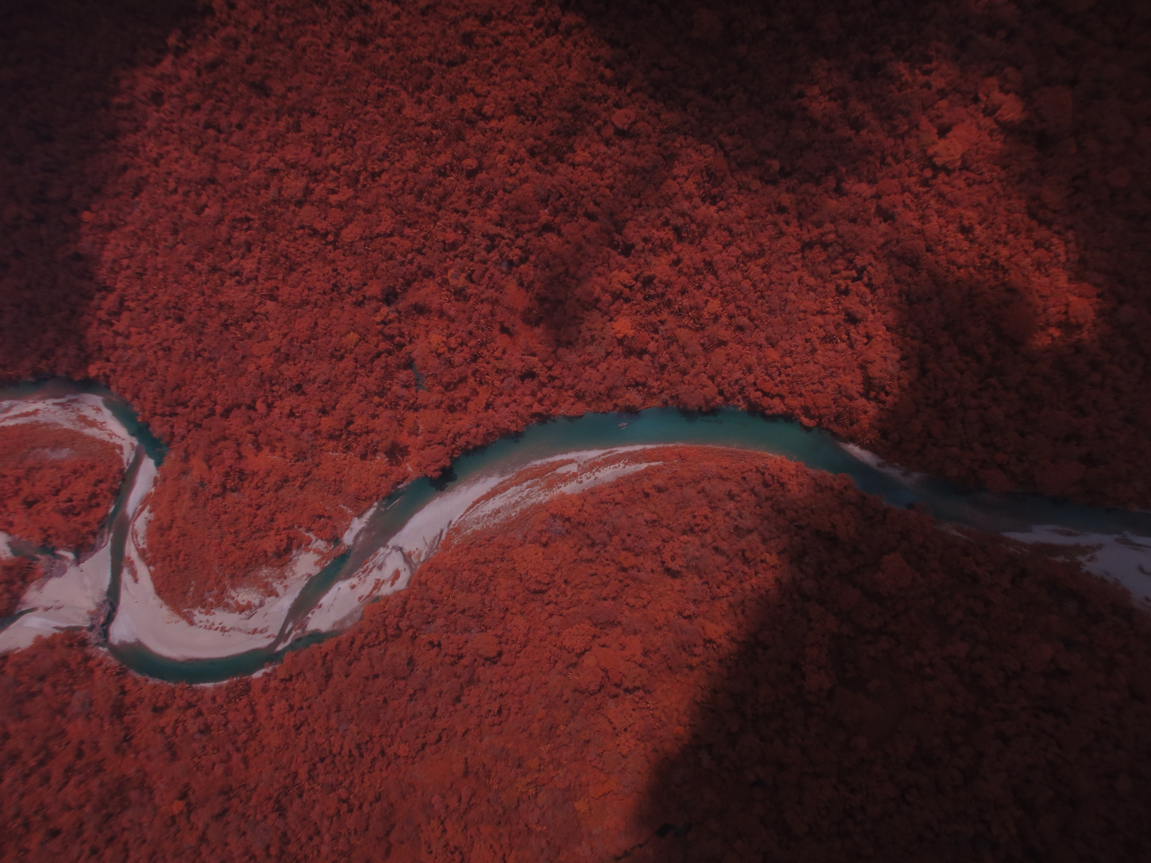 Near‐infrared image captured of the Bladen Reserve
