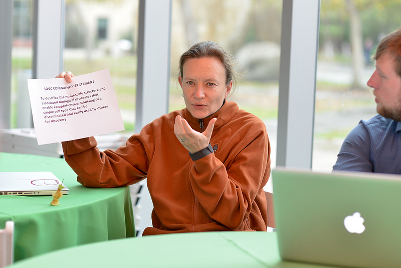 Anita Bandrowski of the Neuroscience Information Framework participates in a group discussion about the planned vision for the 3D Virtual Cell project.