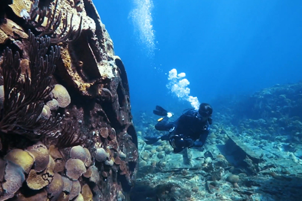 Still frame from CNN Travel video about Bermuda 100 Challenge to digitally recreate Bermuda