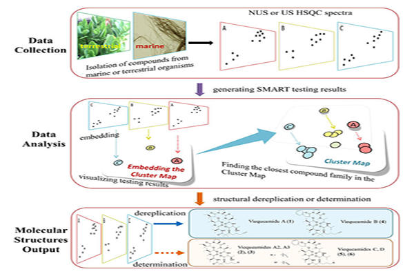 From data collection and analysis to output of molecular structures using SMART technique.