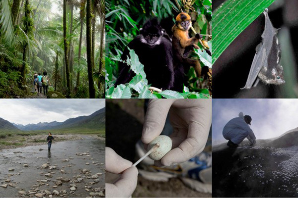Collage of EMP projects