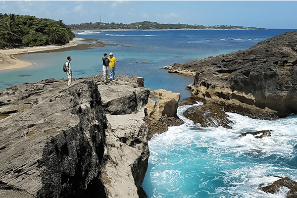 Students survey the Puerto Rican coastline