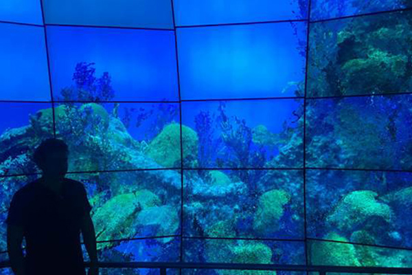 Viewing the Mary Celestia on the WAVE display.